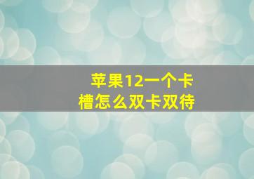 苹果12一个卡槽怎么双卡双待