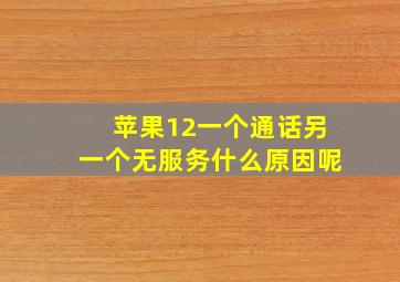 苹果12一个通话另一个无服务什么原因呢