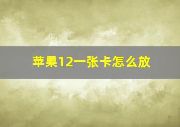 苹果12一张卡怎么放