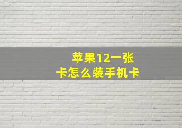 苹果12一张卡怎么装手机卡