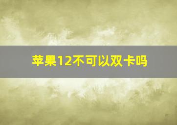 苹果12不可以双卡吗