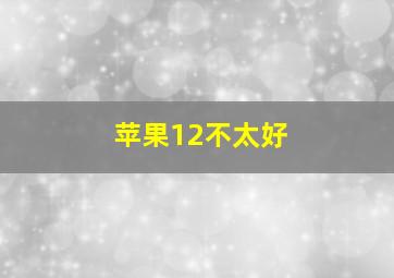 苹果12不太好