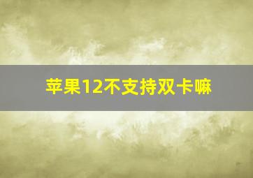 苹果12不支持双卡嘛