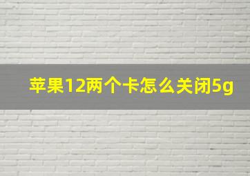 苹果12两个卡怎么关闭5g