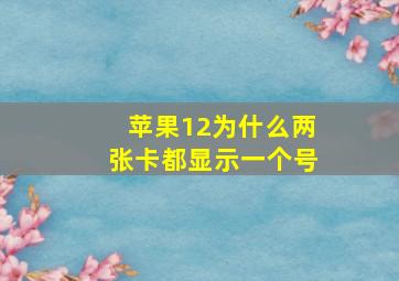 苹果12为什么两张卡都显示一个号