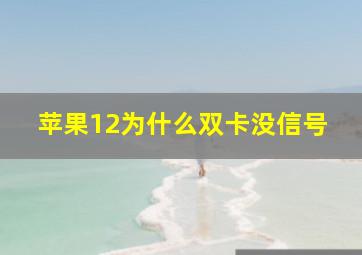 苹果12为什么双卡没信号