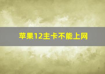 苹果12主卡不能上网