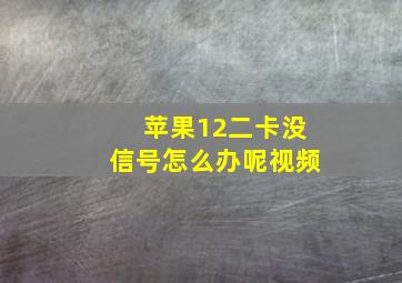 苹果12二卡没信号怎么办呢视频