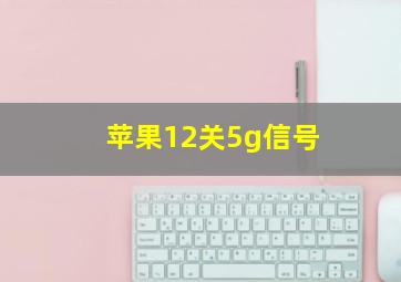 苹果12关5g信号