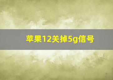 苹果12关掉5g信号