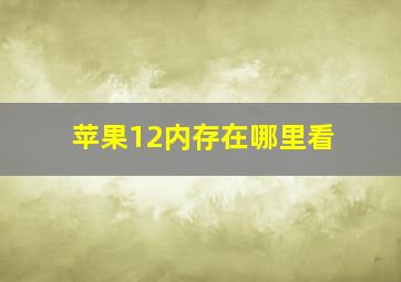 苹果12内存在哪里看