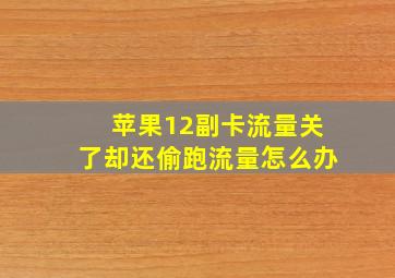 苹果12副卡流量关了却还偷跑流量怎么办