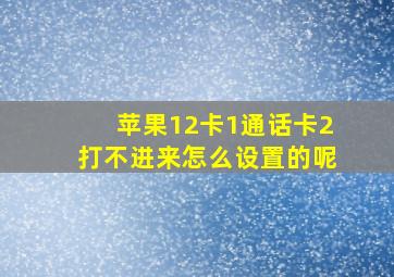 苹果12卡1通话卡2打不进来怎么设置的呢