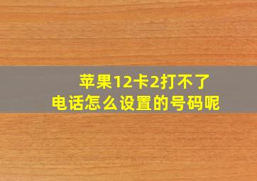 苹果12卡2打不了电话怎么设置的号码呢