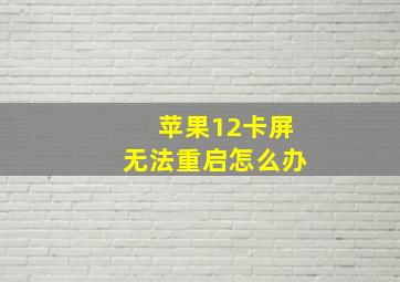 苹果12卡屏无法重启怎么办