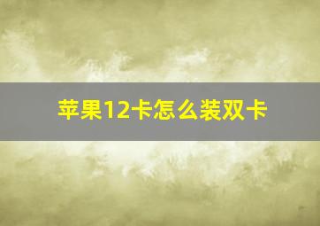 苹果12卡怎么装双卡