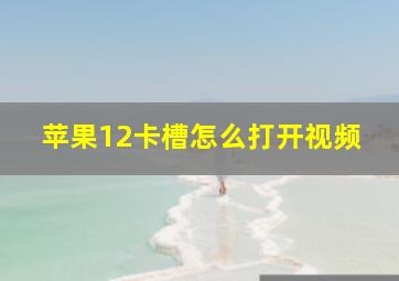 苹果12卡槽怎么打开视频