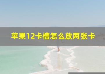 苹果12卡槽怎么放两张卡