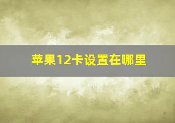 苹果12卡设置在哪里