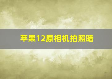 苹果12原相机拍照暗