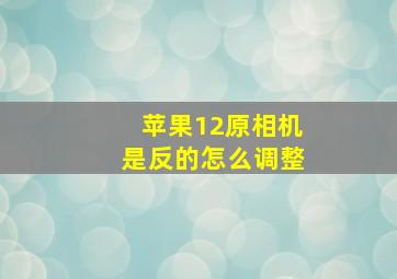 苹果12原相机是反的怎么调整