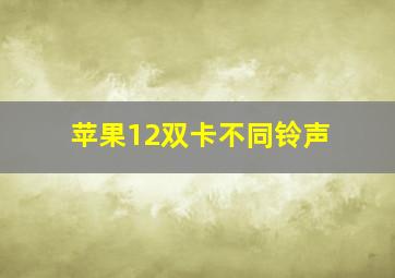 苹果12双卡不同铃声