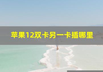 苹果12双卡另一卡插哪里