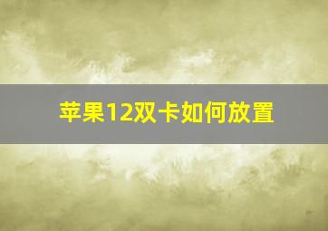 苹果12双卡如何放置