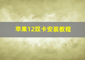 苹果12双卡安装教程