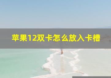 苹果12双卡怎么放入卡槽