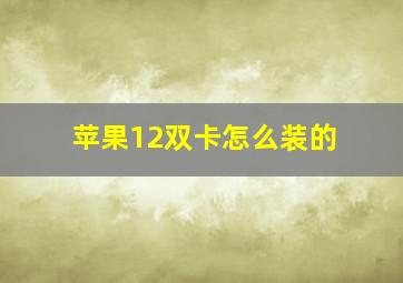 苹果12双卡怎么装的