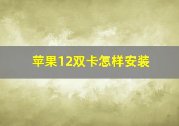 苹果12双卡怎样安装