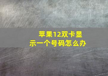 苹果12双卡显示一个号码怎么办