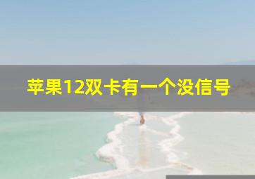 苹果12双卡有一个没信号