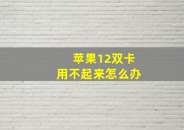 苹果12双卡用不起来怎么办