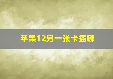 苹果12另一张卡插哪