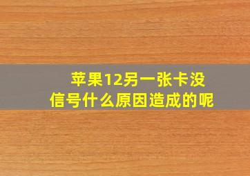 苹果12另一张卡没信号什么原因造成的呢