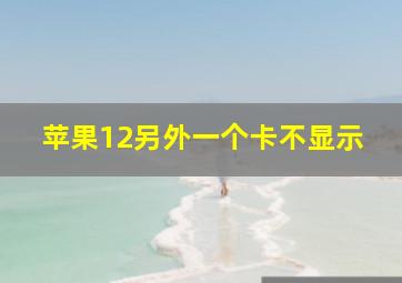 苹果12另外一个卡不显示