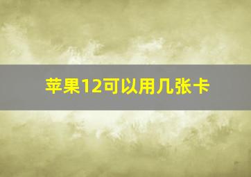 苹果12可以用几张卡