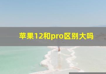 苹果12和pro区别大吗