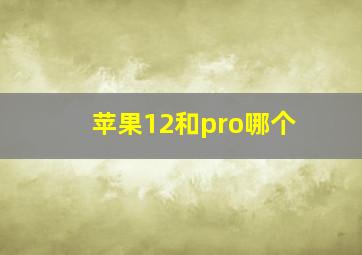 苹果12和pro哪个