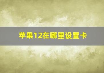 苹果12在哪里设置卡