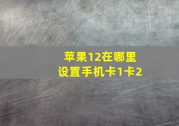 苹果12在哪里设置手机卡1卡2