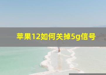 苹果12如何关掉5g信号