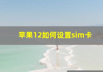 苹果12如何设置sim卡