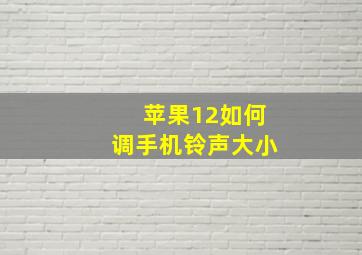 苹果12如何调手机铃声大小