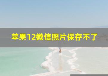 苹果12微信照片保存不了