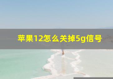 苹果12怎么关掉5g信号