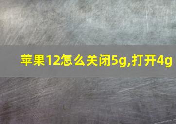 苹果12怎么关闭5g,打开4g