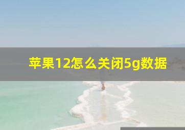 苹果12怎么关闭5g数据